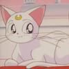 :wink2: artemis
